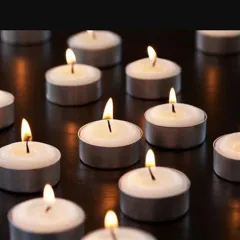 Gila Tealight Mum 50 Li 6 gr